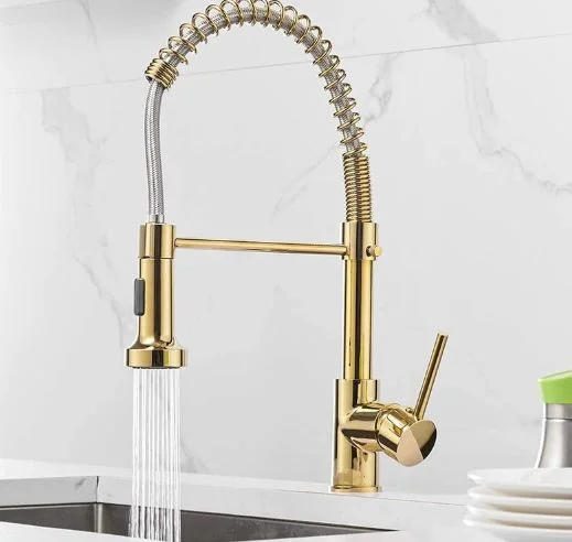 Brass Spring Kitchen Tap