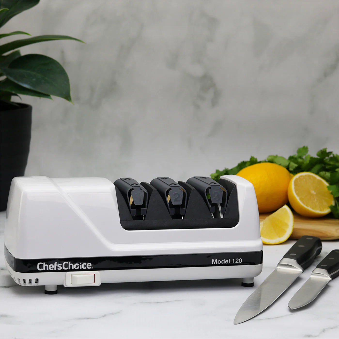 Chef's Choice 120 Professional 3 Stage Electric Knife Sharpener