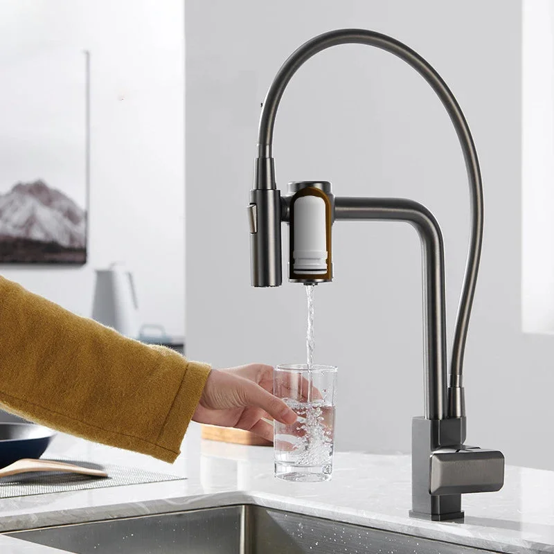 Filtered Kitchen Water Filter Faucets Percolator Water Kitchen Faucet