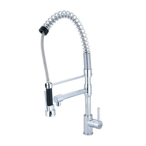 Kingston Chrome Single Handle Pre-rinse Kitchen Faucet with extra spout GS8971DL