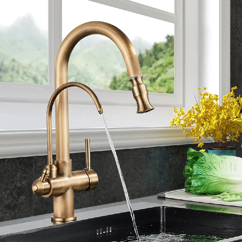 Kitchen Faucet 2 in 1 Antique Brass Pull Out Nozzle Kitchen Tap