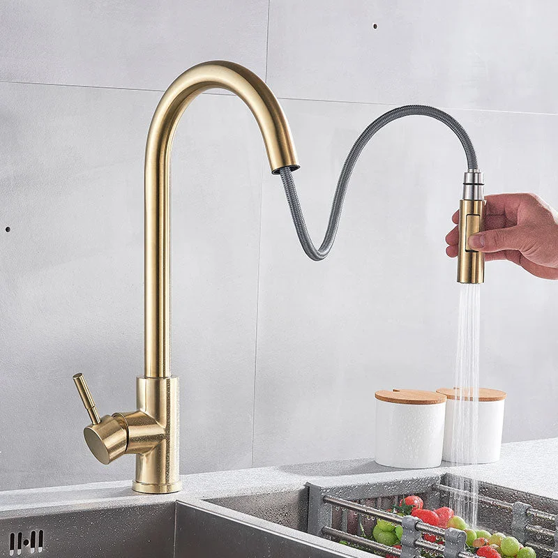 Brass Kitchen Faucet Pull Out Kitchen Sink Water Tap Single Handle Mixer Tap