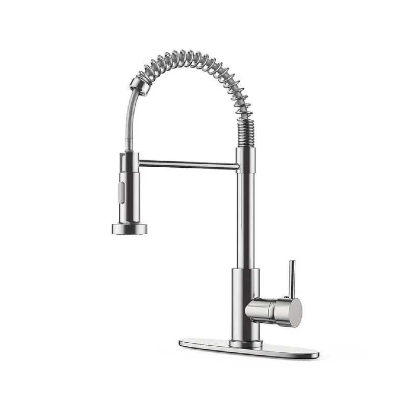 Kitchen Faucet with Pull Down Sprayer