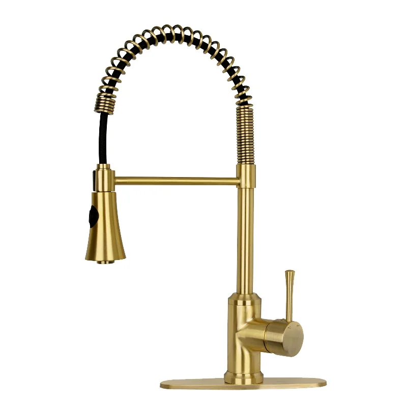 One-Handle Pre-Rinse Spring Brushed Gold Kitchen Faucet - AK96566-BTG