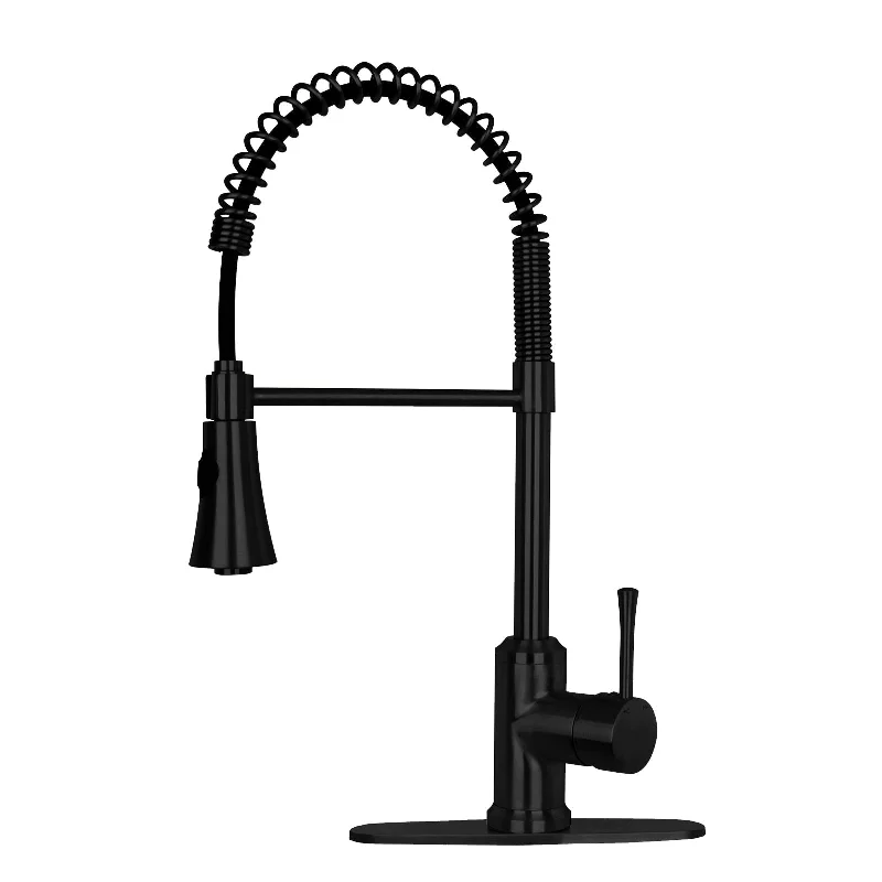 One-Handle Pre-Rinse Spring Matte Black Kitchen Faucet - AK96566-MB