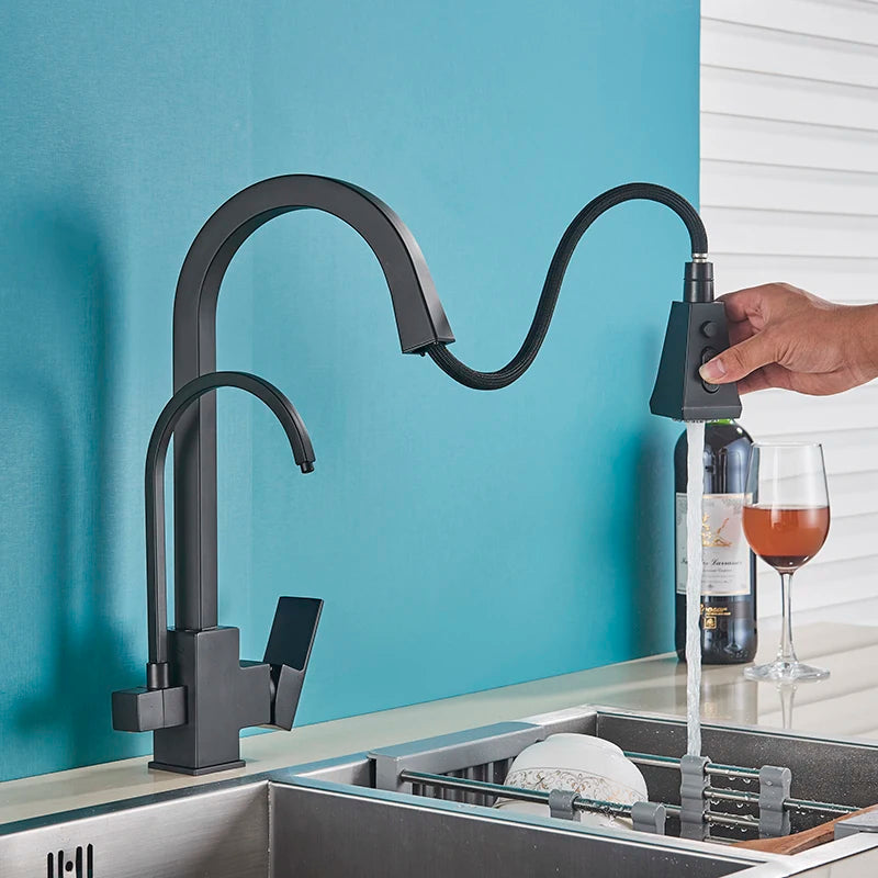 Pull Out Sprayer Sink Faucet Two Spout Double Handle Kitchen Tap