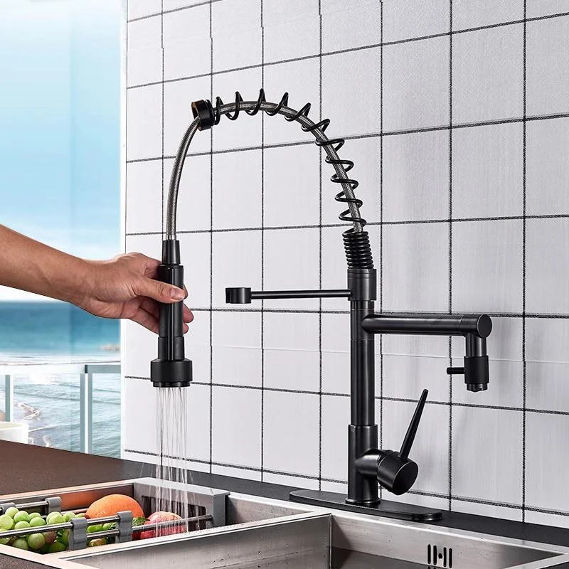 Pull Out Spring Kitchen Faucet With A Full Rotation Feature