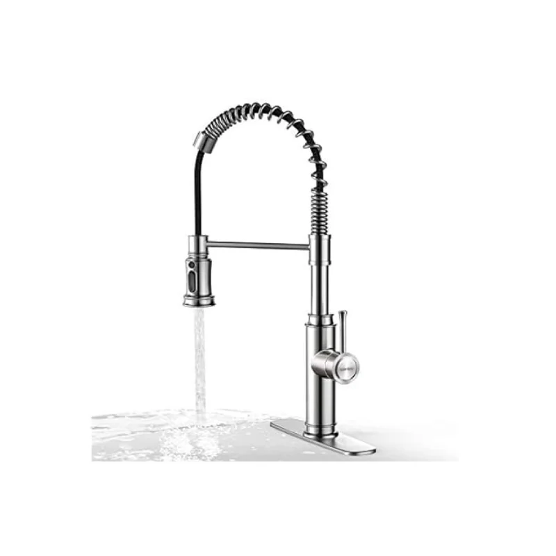 WaterSong Spring Single Handle Kitchen Faucet w/ 2 Optional Sprayers