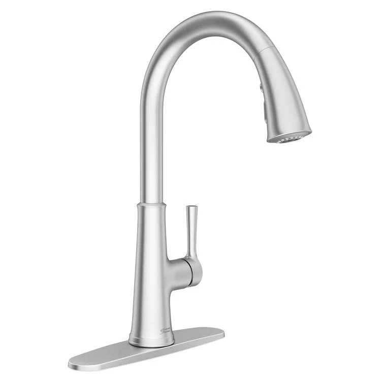 Kitchen Faucet Renate 1 Lever ADA Stainless Steel Pull Down 1.5GPM