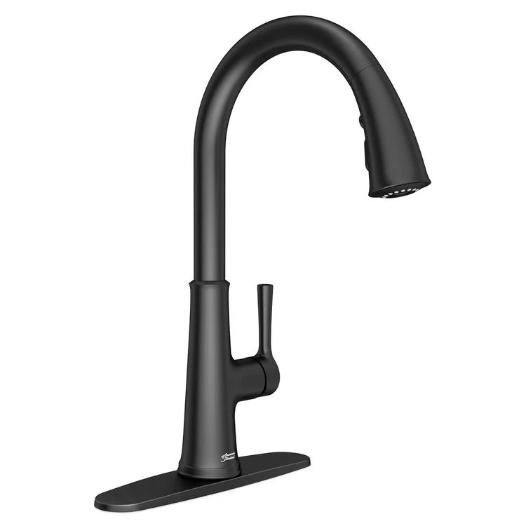 Kitchen Faucet Renate 1 Lever ADA Matte Black Pull Down 1.5GPM